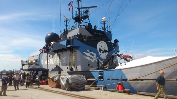 Sea Shepherd ship Steve Irwin at Williamstown Pier