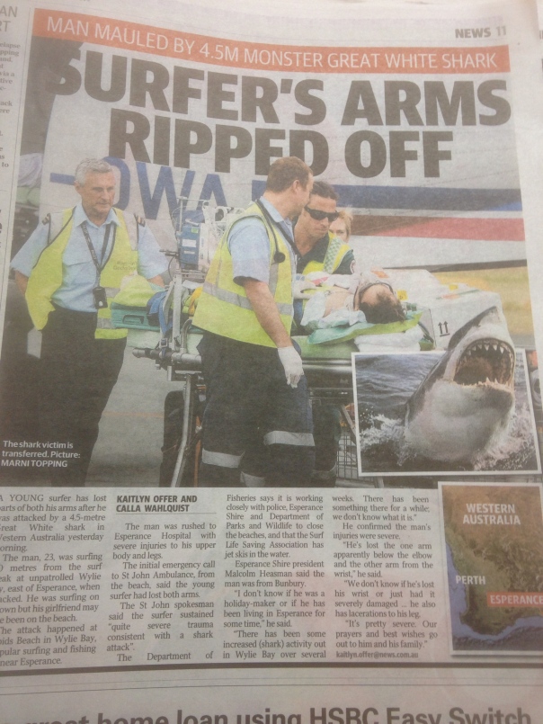 Sydney's Daily Telegraph, constant offenders on the 'savage man-killing shark' front